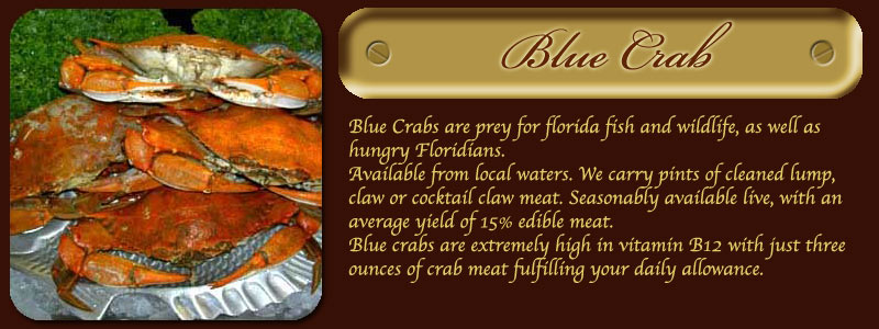Bluecrab