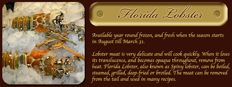 FloridaLobster
