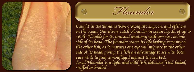 Flounder