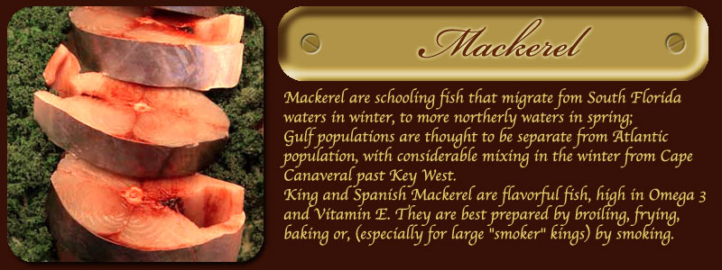 Mackerel