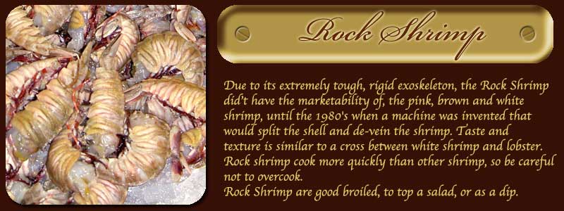 Rock Shrimp