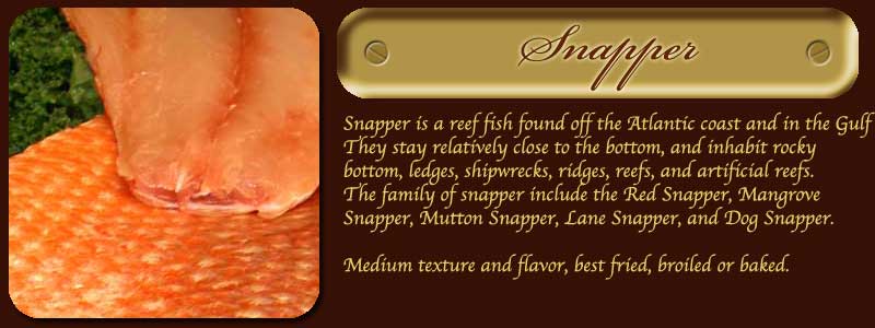 Snapper