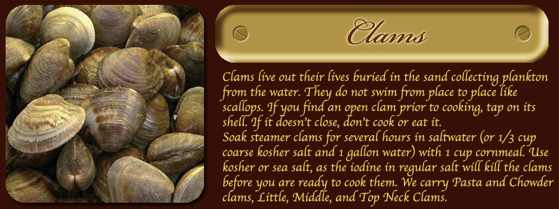 Clams